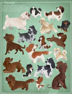 8.5"x11" spaniel dogs art print. printed on fine art paper Brown Dog Illustration, Dog Portrait Illustration, Whippet Illustration, Pets Illustration, Dog Illustration Art, Dog Portraits Illustration, Dog Portraits Art, Illustration Dog, Spaniel Art