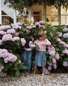 two young children standing in front of purple flowers with the caption interrest