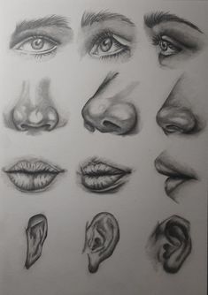 a pencil drawing of different types of eyes