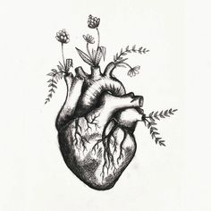 a black and white drawing of a human heart with flowers growing out of the side