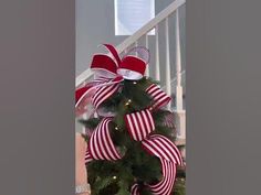 a christmas tree decorated with red and white bows