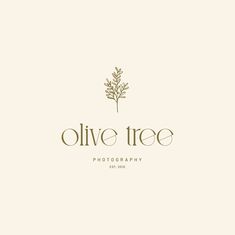 the olive tree logo on a white background