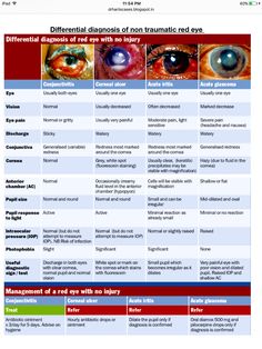 Pathophysiology Nursing, Optometry School, Nurse Practitioner School