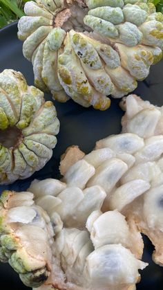 Sugar apple
Tropical fruit
Fruit
Fruits
Sugar apples
Tropical Food Captions, Food Drink Photography, Food Therapy, Beautiful Fruits, Snap Food, African Food, Food Videos Cooking, Food Snapchat