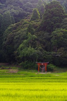 a small red structure in the middle of a green field