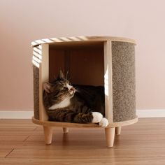 a cat laying in a small wooden box on the floor