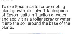 an image of a text message that reads, to use epson salts for promoting plant growth, dissolve 1 tablespoon of epson salts in 1 gallon of water and apply