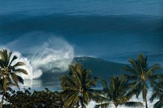 a large wave is coming in to the shore with palm trees around it and blue sky