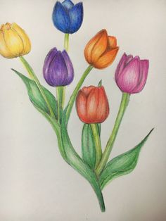 a drawing of colorful tulips with the words arttiquee written on it