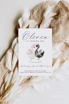 the wedding program is displayed on top of some feathers