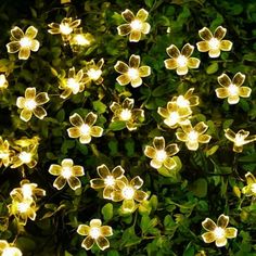 a bunch of lights that are in the grass by some bushes and trees with flowers on them