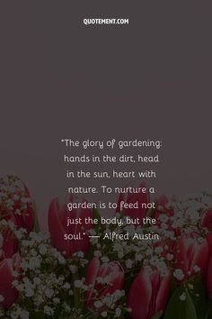 Let’s read an inspiring collection of garden quotes that will remind us of the wisdom, beauty, and life lessons found in the petals and greenery of a garden! Truth Of Life, Quotes Life