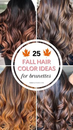 25 Fall Hair Color Ideas for Brunettes: Seasonal Shades to Transform Your Look Fall Hair Ombre Brunettes, Fall Color Brunette Hair, Fall Hair Colors For Women In Their 40s, Fall Hair Curly Color, Pretty Brown Hair Colors Fall, Curly Brown Hair Color Ideas, Fall Hair Tones For Brunettes, Fall Hair Color For Brunettes To Hide Grays, Fall Hair Color For Brunettes With Blue Eyes