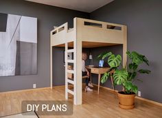 there is a loft bed with a desk underneath it and a plant in the corner