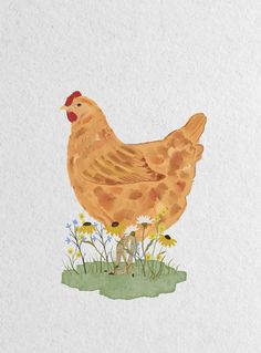 an illustration of a chicken standing in the grass with daisies and daisies around it