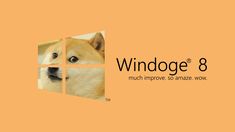 the logo for windows 8 with a dog's face on it, in front of an orange background