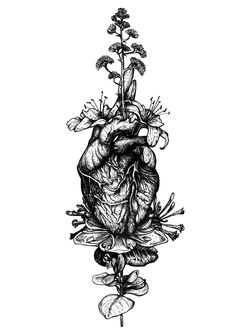 a drawing of a heart and flowers on a white background