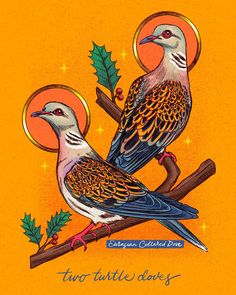 two birds sitting on top of a tree branch next to an orange background with holly leaves