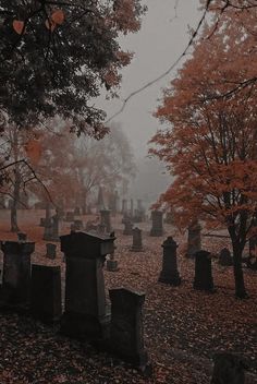 an old cemetery with many headstones and trees in the background on a foggy day