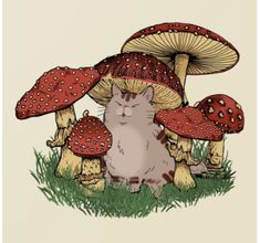 a cat is sitting in the grass next to some mushroom's and one has it's eyes closed