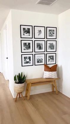 a wooden bench sitting in front of a wall with pictures on it and a potted plant