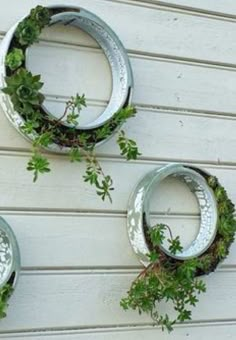 three metal circular planters with plants growing in them on the side of a building