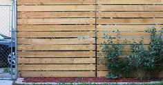 a wooden fence next to a small tree in the middle of a yard with a car parked behind it