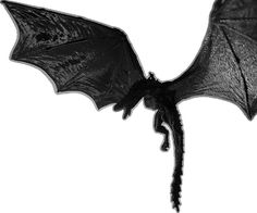 a black dragon flying through the air