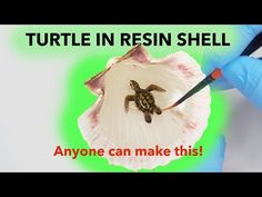 someone in blue gloves is cutting into a shell with a turtle on it and the caption reads, turtle in resin shell anyone can make this