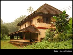 an old house in the middle of lush green trees and bushes on a foggy day