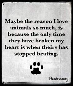 Losing A Pet Quotes, Quotes Everyday, Paper Quotes, Miss My Dog, Dog Poems, In Loving Memory Quotes, Paper Quote, Dog Quotes Love, Lovers Quotes