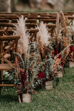 rows of wooden chairs lined up next to each other with flowers and plants on them