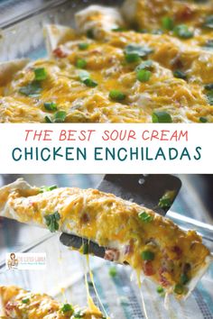 the best sour cream chicken enchiladas recipe is so easy to make and delicious