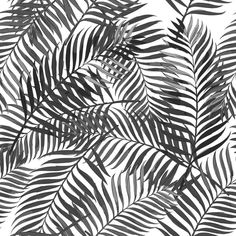 black and white palm leaves on a white background