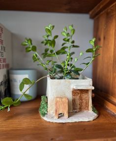 a potted plant sitting on top of a wooden shelf next to a small house