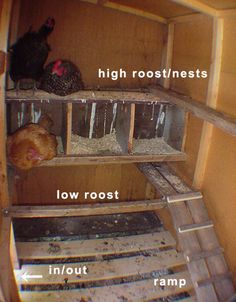 the inside of a chicken coop with chickens in it and labeled parts labelled on each side