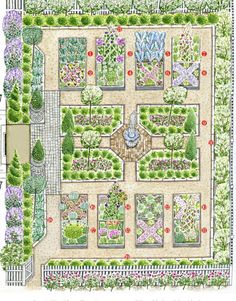 a garden plan with various plants and flowers