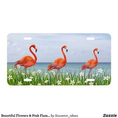 two pink flamingos are standing in the grass by the water with daisies and daisies