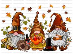 three gnomes with thanksgiving hats and turkey