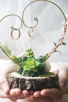 a person holding a small plant in their hands with the word love written on it