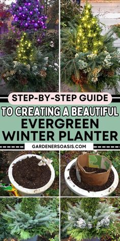 Step-by-step Guide To Creating A Beautiful Evergreen Winter Planter