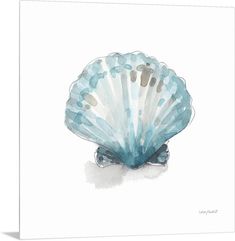 a watercolor painting of a seashell on a white background with blue and gray dots