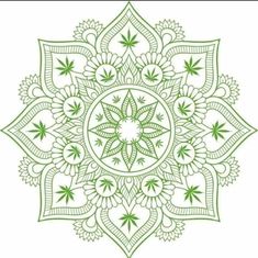 a green and white circular design with leaves in the center, on a white background