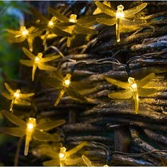 yellow dragon lights are hanging from the branches