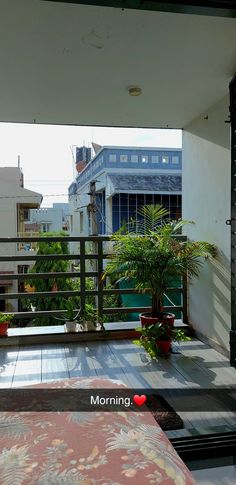 #balcony #balconygarden #balconylife #nabalkonie #kawazrana #balkon #balkony #morninglikethis #greenery #urbangarden#balcony #balconygarden #architecture #balkon #balconydecor #home #garden #nature #summer #interiordesign #flowers #design #plants #love #homedecor #photography #interior #view #balconylife #balconyview #terrace #travel #sun #balconydesign #art #photooftheday #decor #gardening #wakingup #morning #goodmorning #wakeup #sleepy #sunrise #awake #instamorning #daytime #breakfast #early Pictures Snapchat, Streaks Snapchat, Snap Map, Snapchat Streaks, Birthday Captions Instagram, Instagram Picture Quotes, Snap Streak Ideas Easy, Snap Snapchat, Best Snapchat