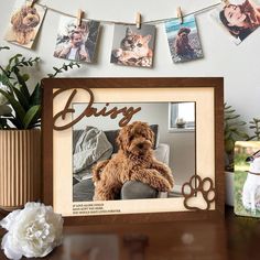 a dog is sitting in front of a photo frame