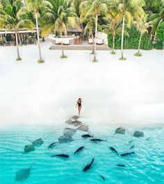 a woman standing on the beach surrounded by fish