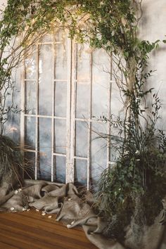 some plants are growing out of the window sill in front of a wooden floor