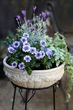 a potted planter with purple flowers in it sitting on a metal stand outside