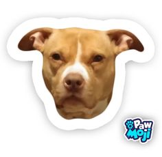 a dog's face is shown in the shape of a sticker